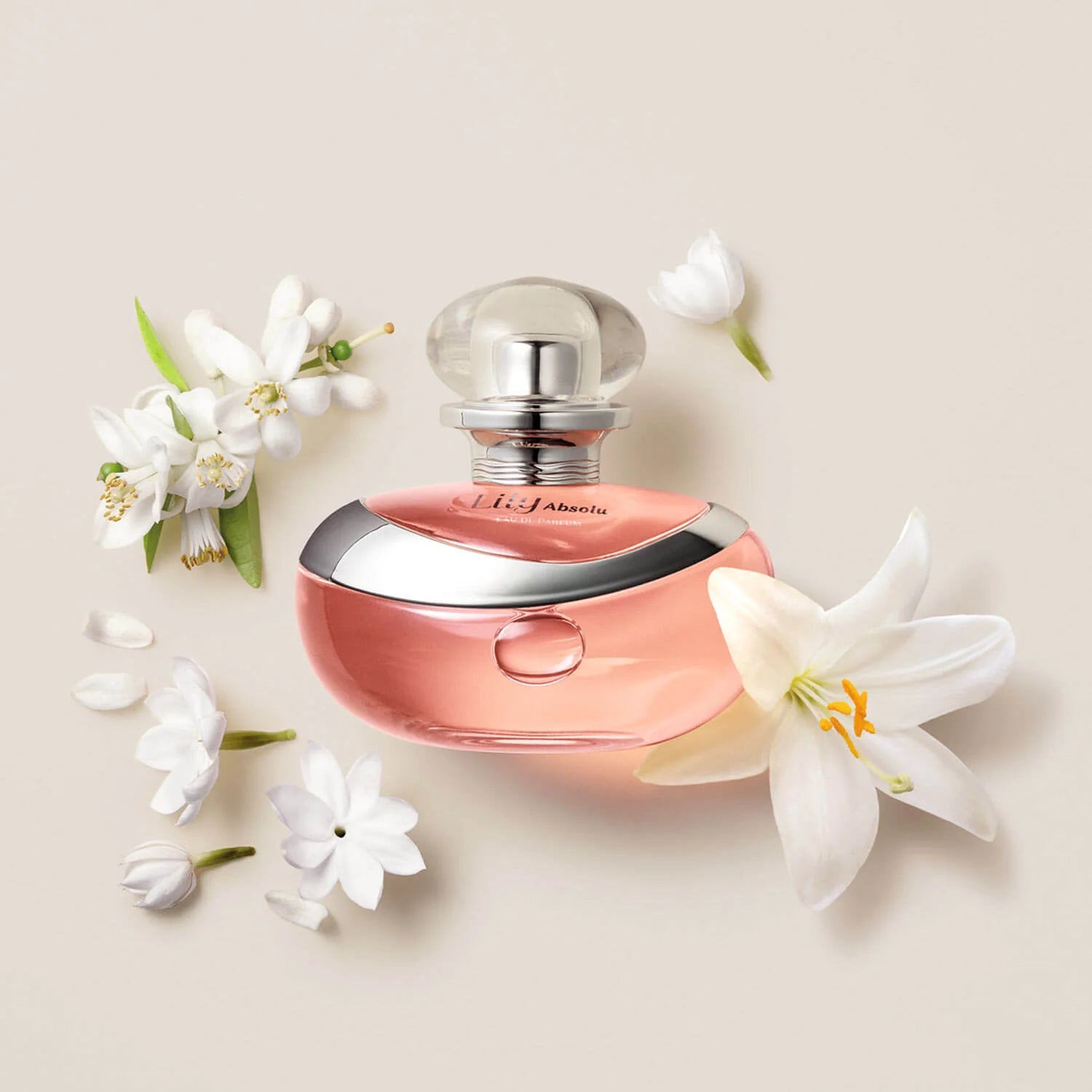 Lily Absolu EDP