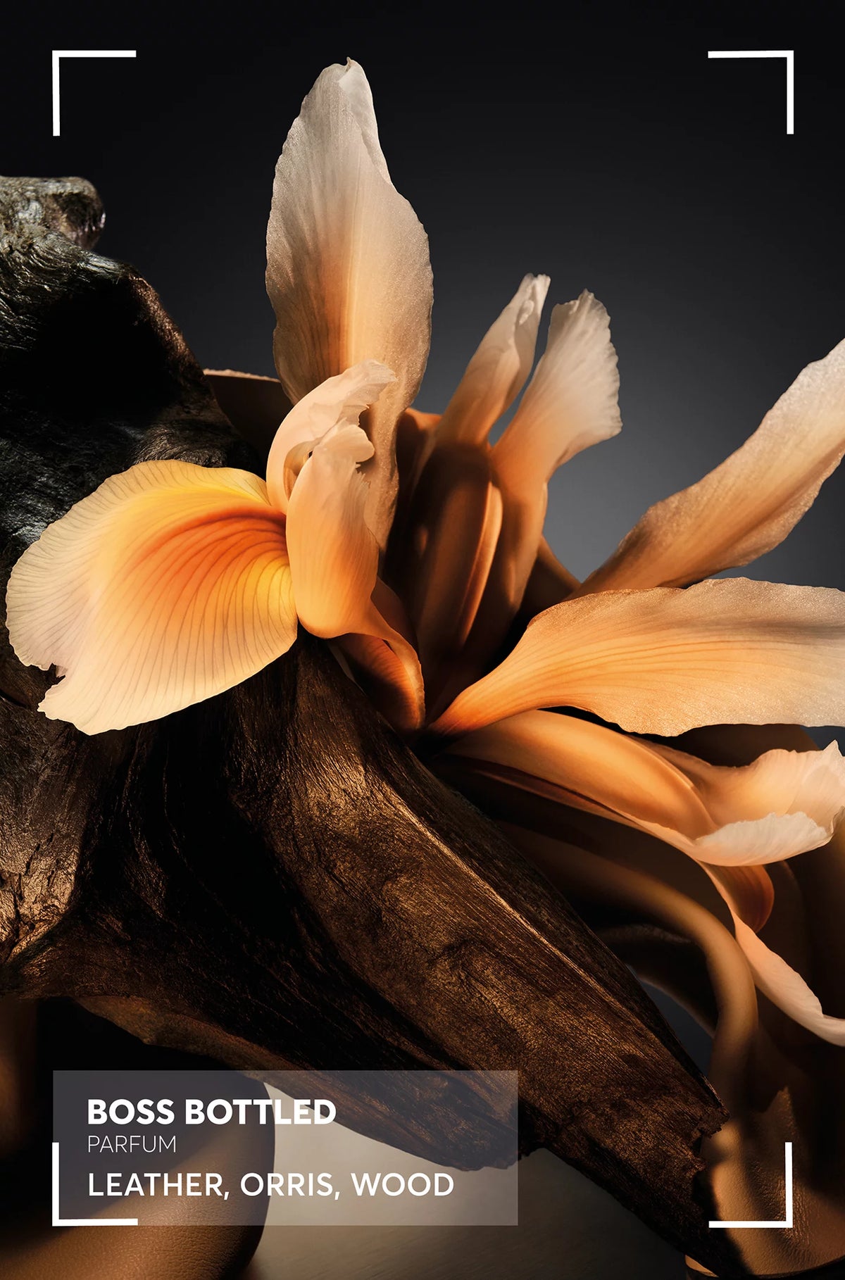 Hugo Boss Bottled Parfum 100ml imagen adicional