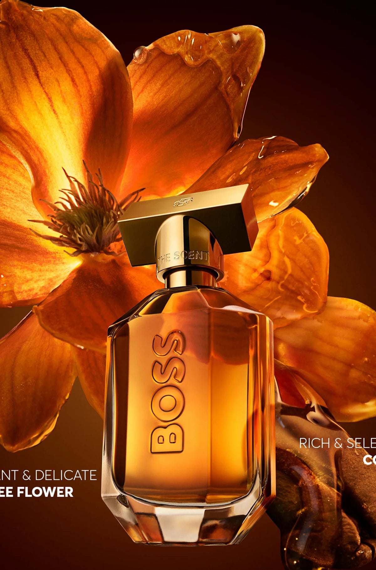 Hugo Boss The Scent Intense For Her EDP 50ml imagen adicional