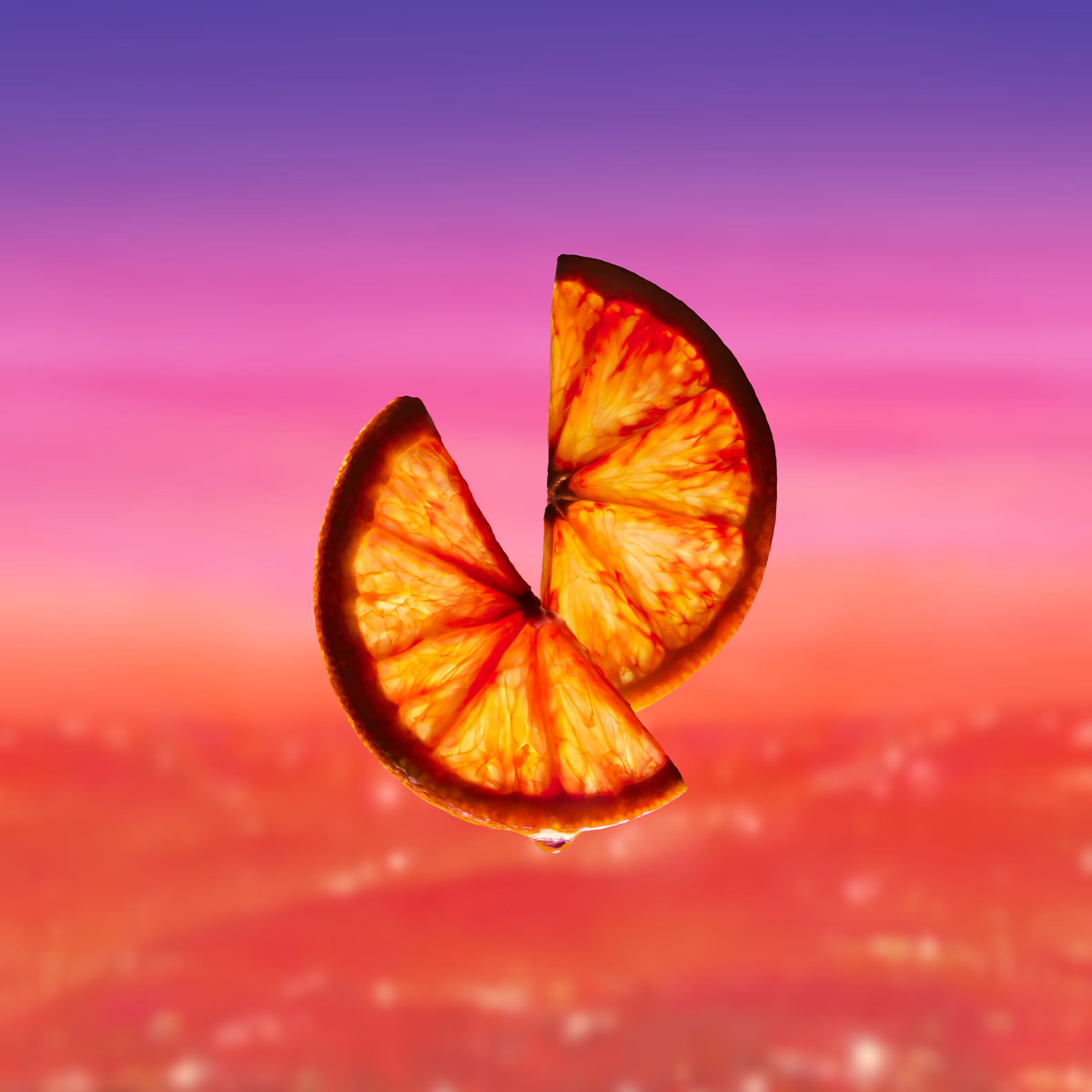 Louis Vuitton CITY OF STARS