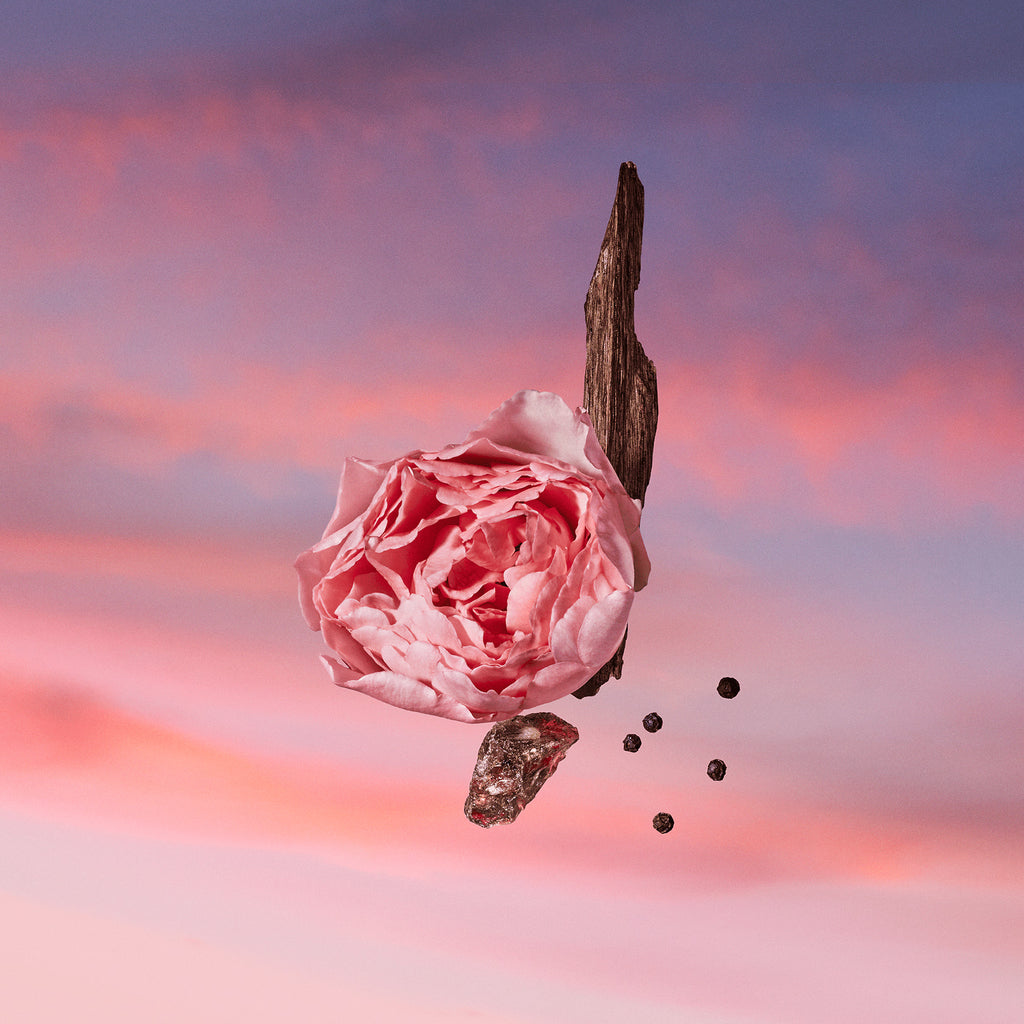 Louis Vuitton LES SABLES ROSES
