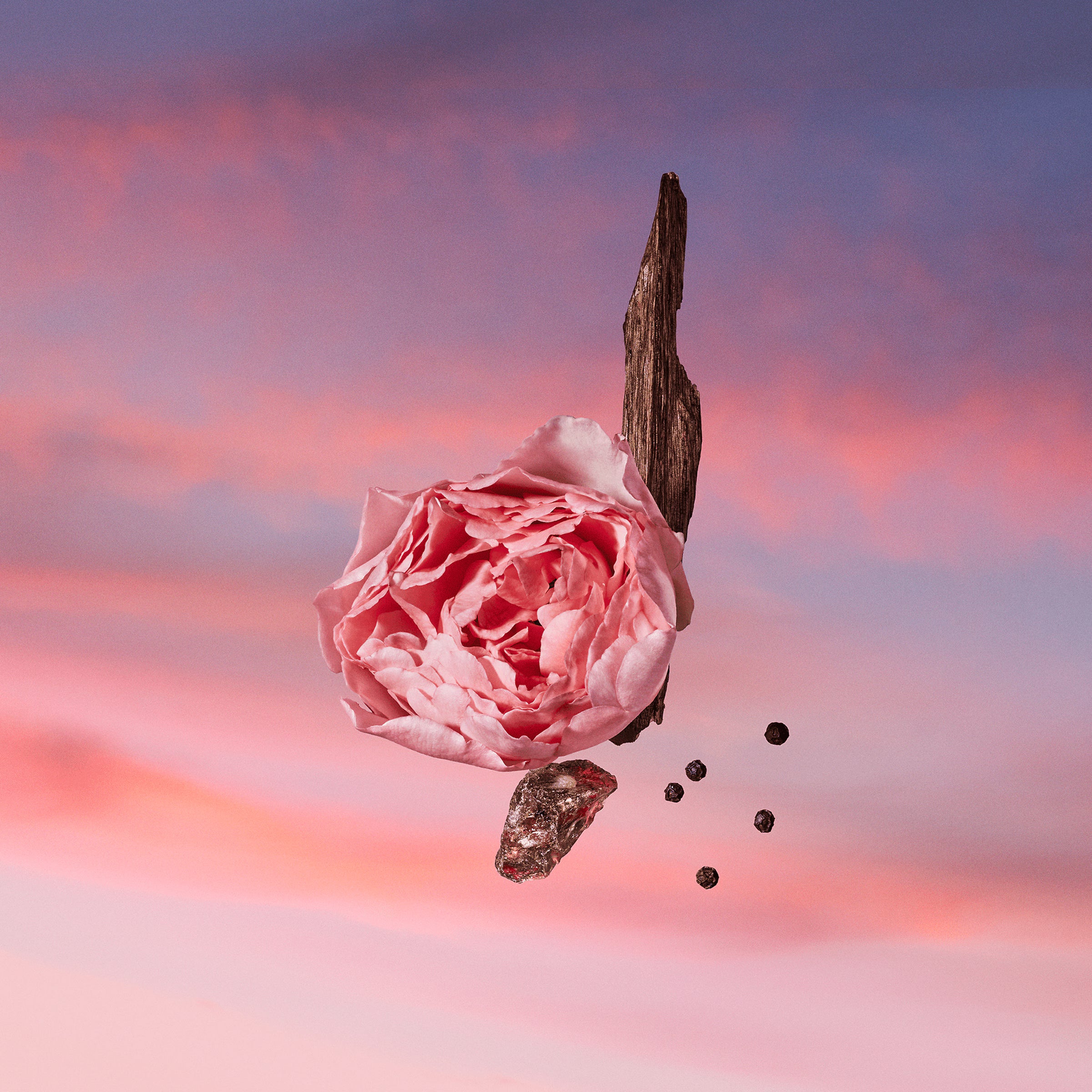Louis Vuitton LES SABLES ROSES